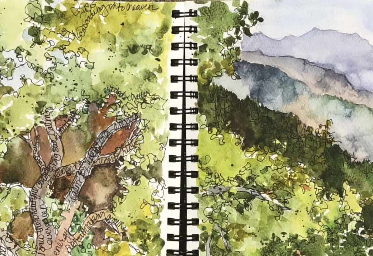 Full Circle Moments Carmel-by-the-Sea View from Napenthe/Big Sur