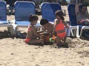 How to Paint from a Photo 1 © Cindy Briggs How to Paint from a Photo 1 © Cindy Briggs