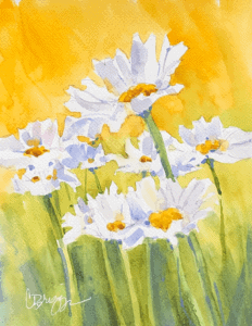 daisies cindy briggs 10 unique ideas