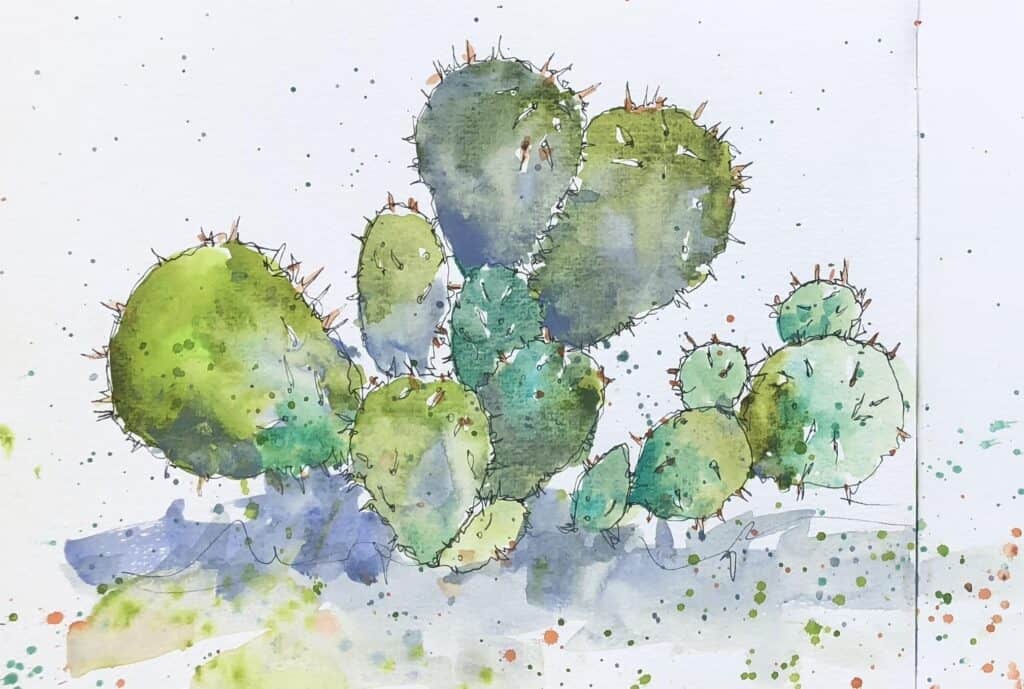 cacti