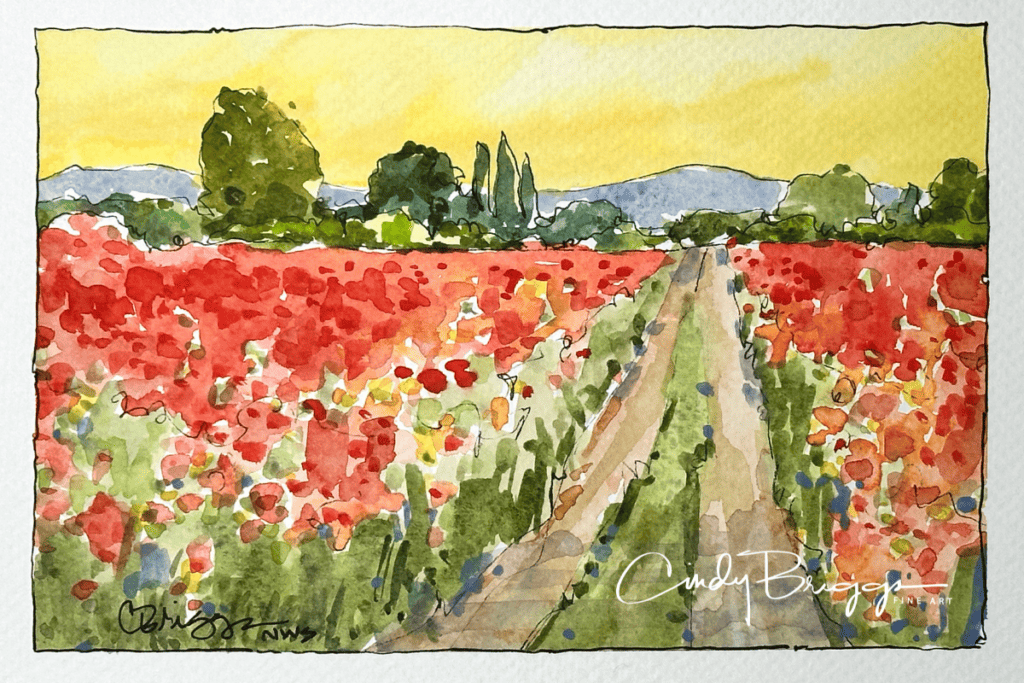 Quick Sketch Poppies Lesson Quick Sketch Poppies Lesson