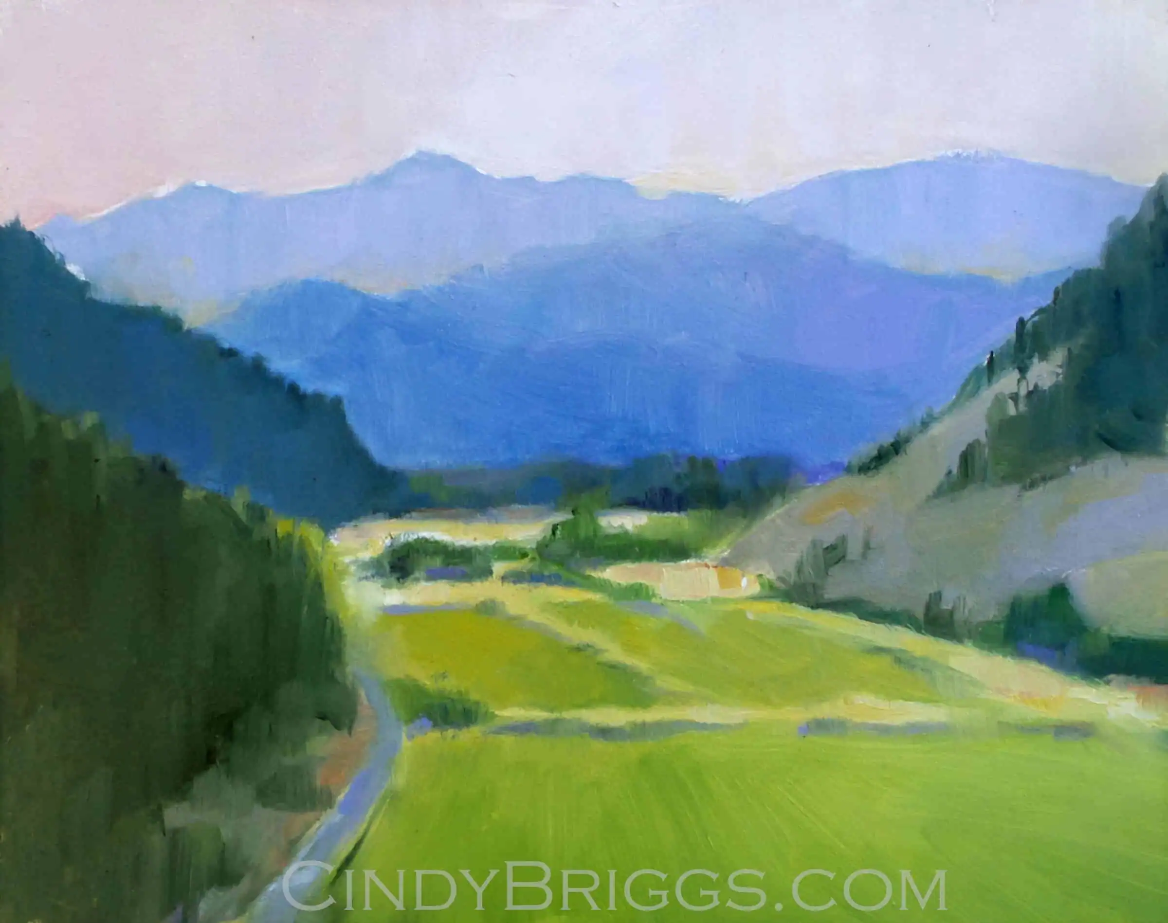 Jackson Fields of Dreams Jackson Fields of Dreams Cindy Briggs Art Watercolor Painting