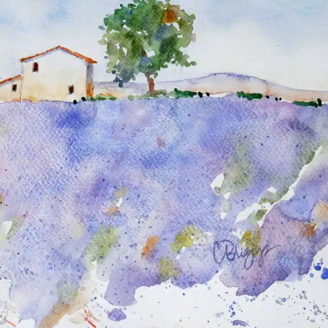 Lavender-in-Provence