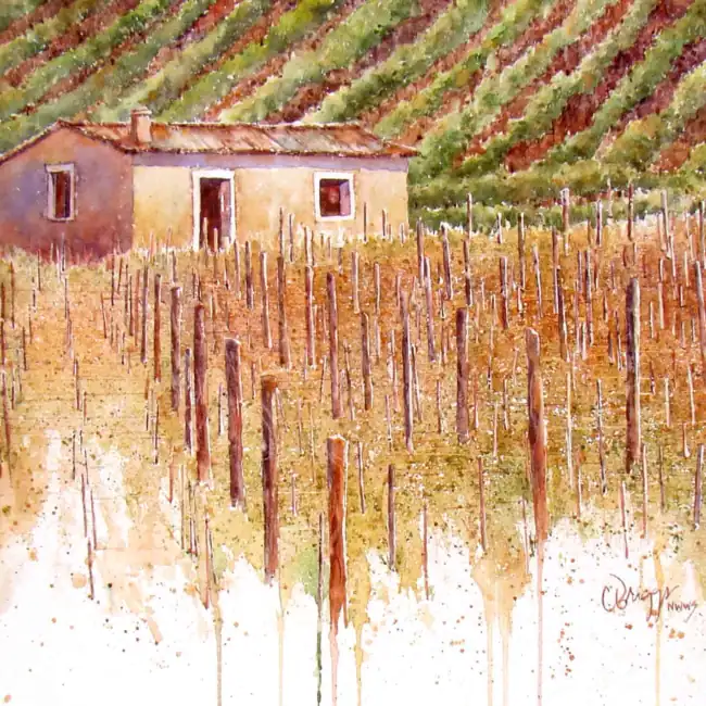 Val-diOrcia-Vineyard