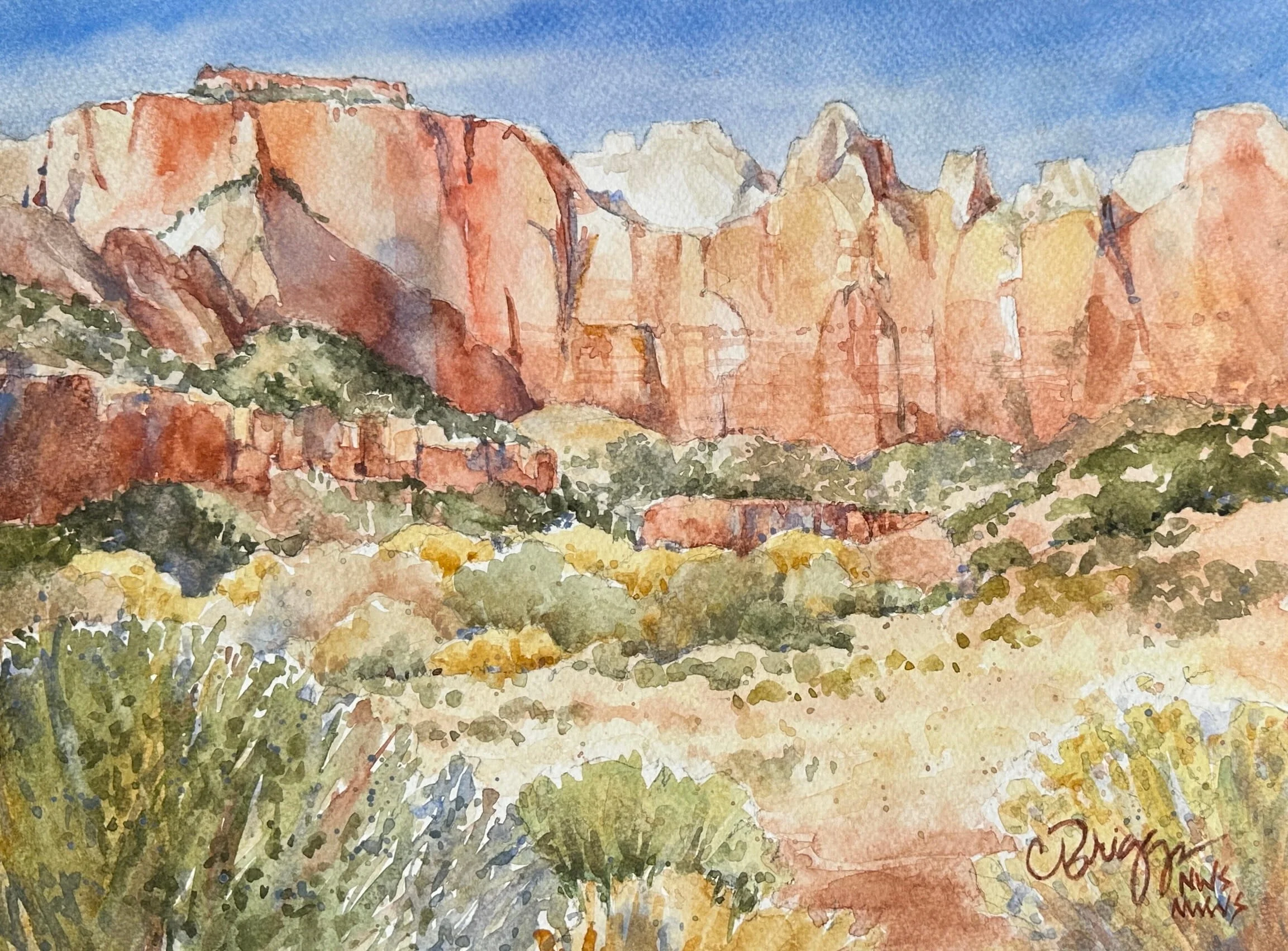4 Discovering Zion 10 x 13 Watercolor Collection Qingdao China Art Museum copy Canyonlands Cindy Briggs Art Watercolor Painting