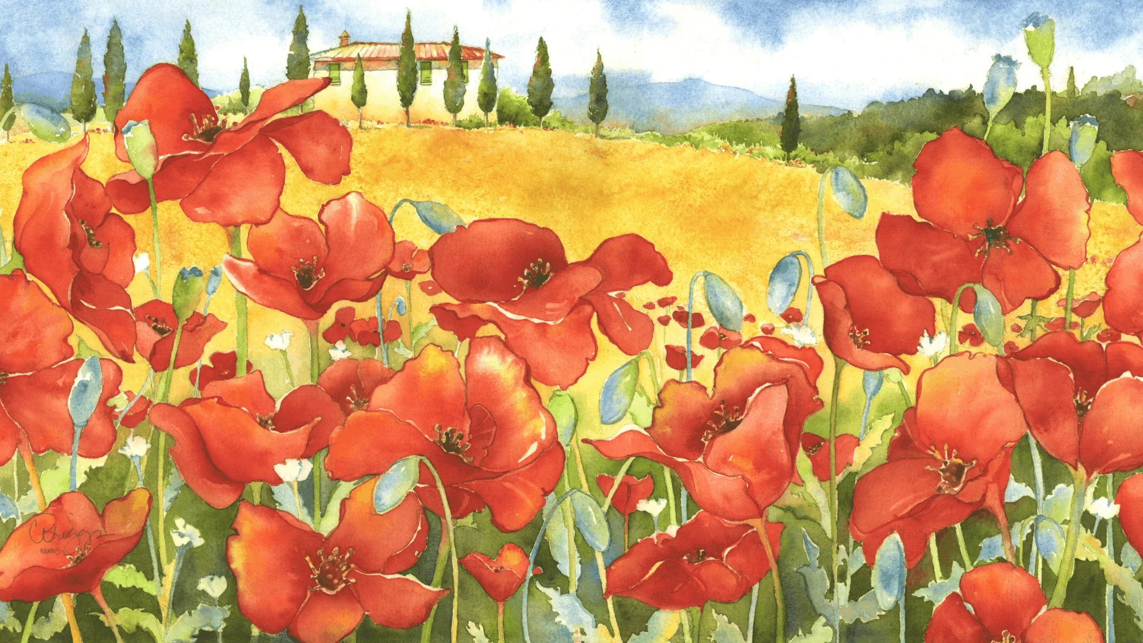 6 On the Road to Pienza