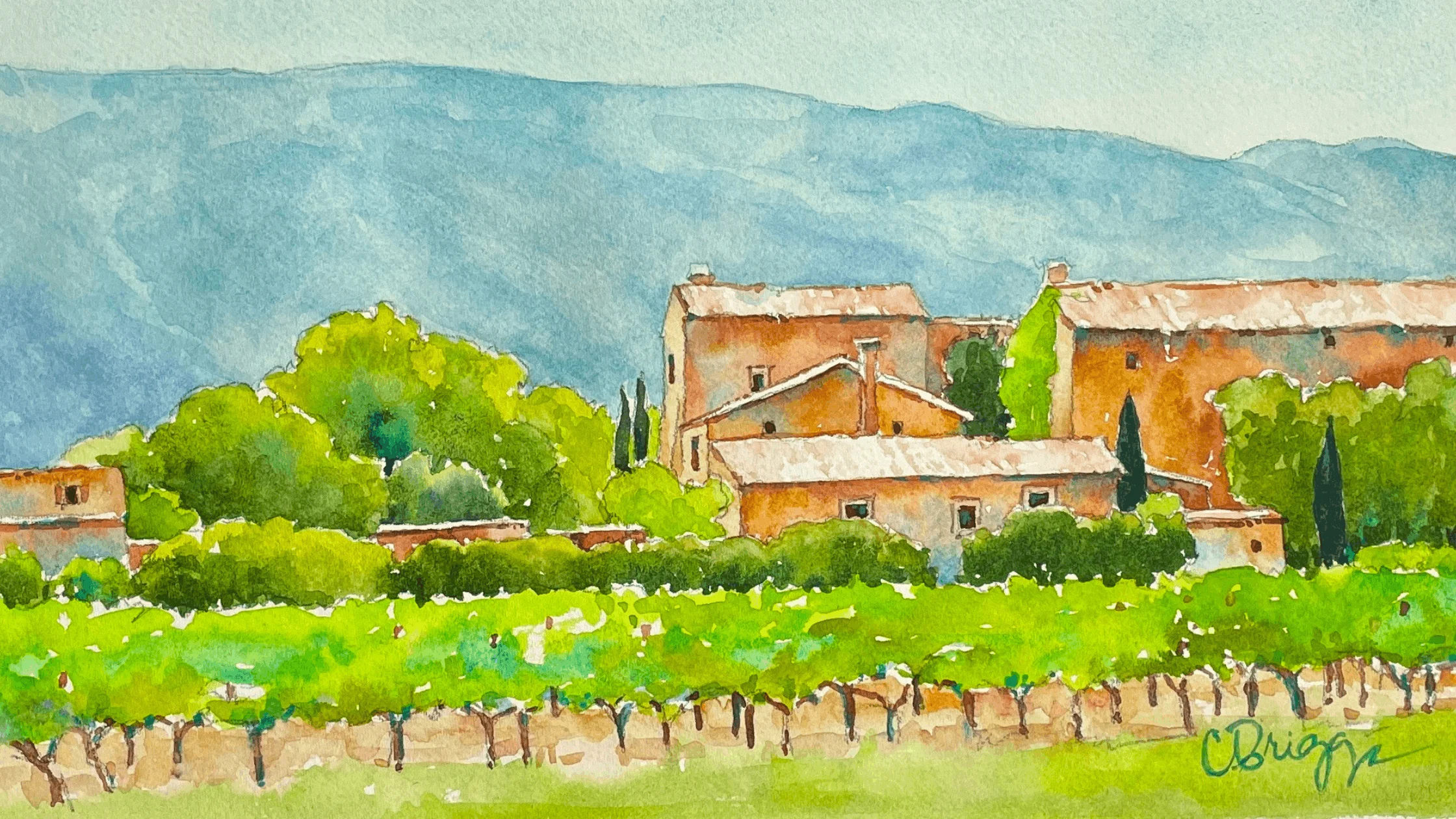 9 Oppede Vineyards