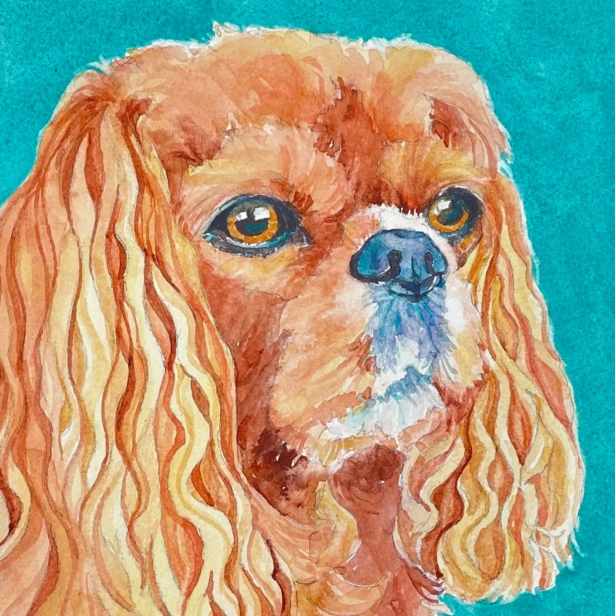 Bella 8 x 8 Watercolor Sold Animals Cindy Briggs Art Watercolor Painting