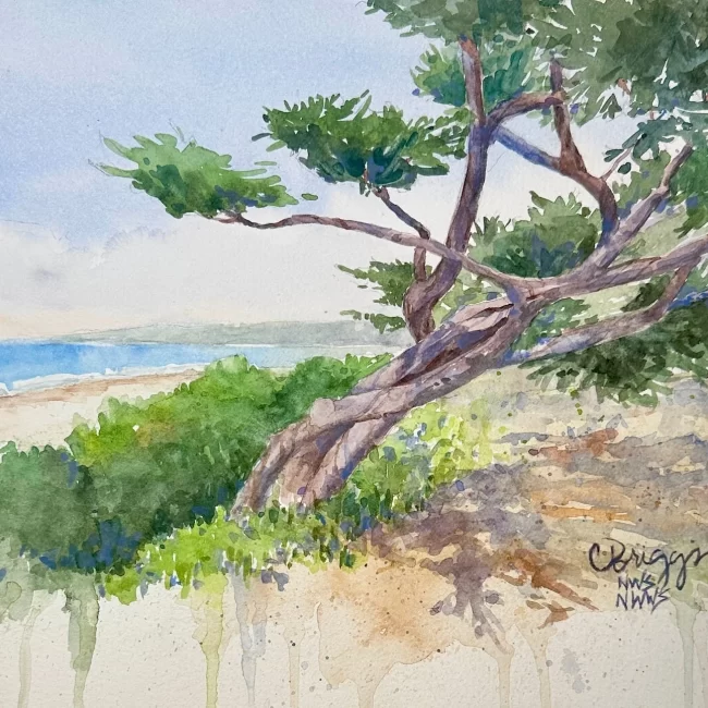 Carmel Beach Cypress 8 x 10 600 plus Mat copy Collections Cindy Briggs Art Watercolor Painting