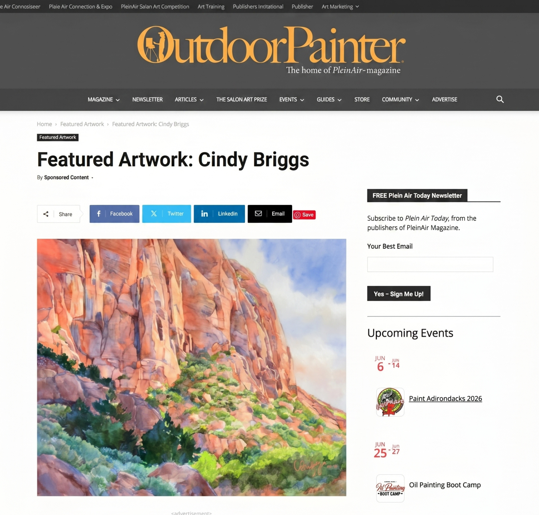 Featured Artwork Cindy Briggs e1780294411769 New Press Cindy Briggs Art Watercolor Painting