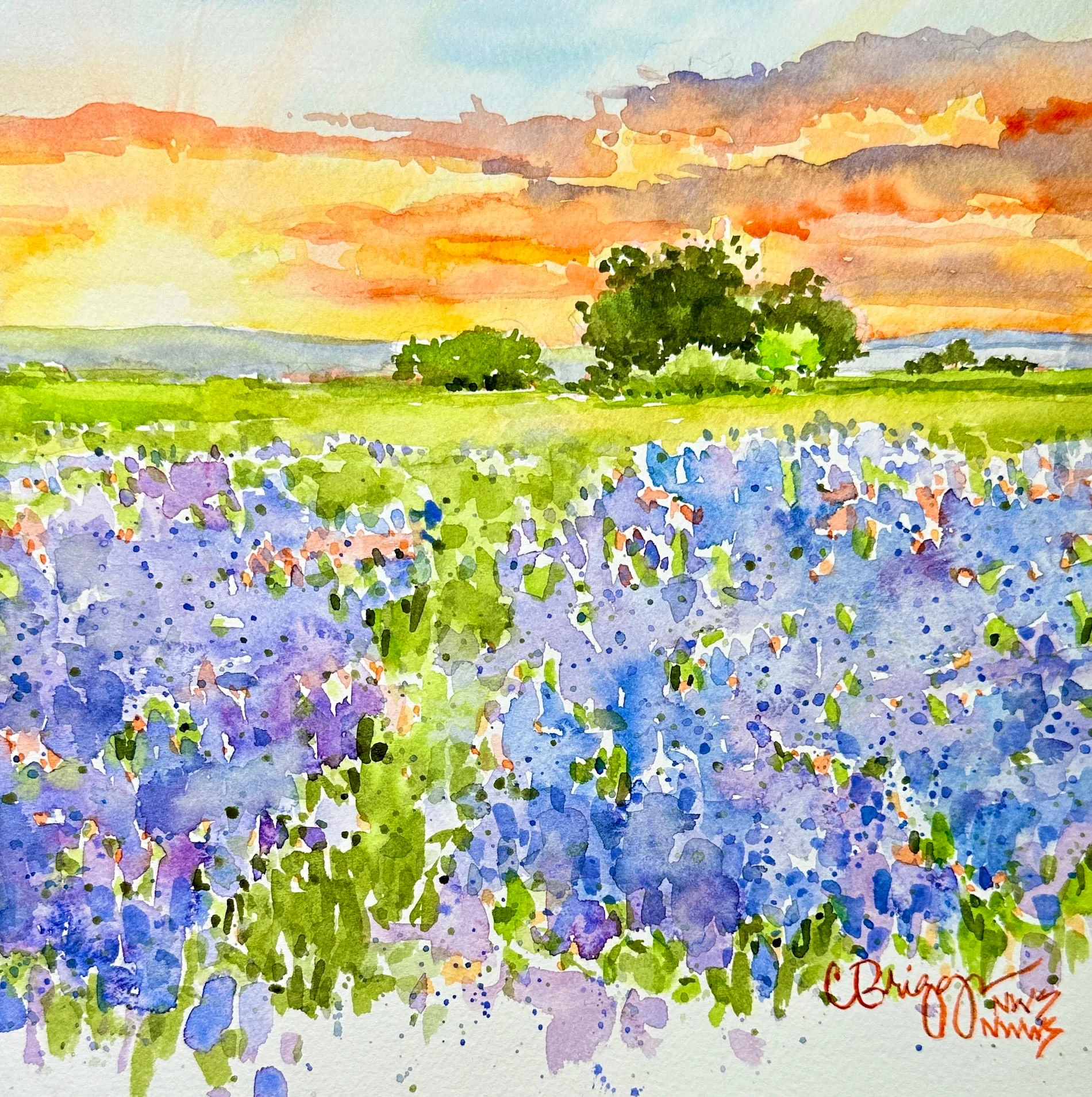 Hill Country Colors Texas Watercolor 8 x 8 350 w Mat copy North America Cindy Briggs Art Watercolor Painting