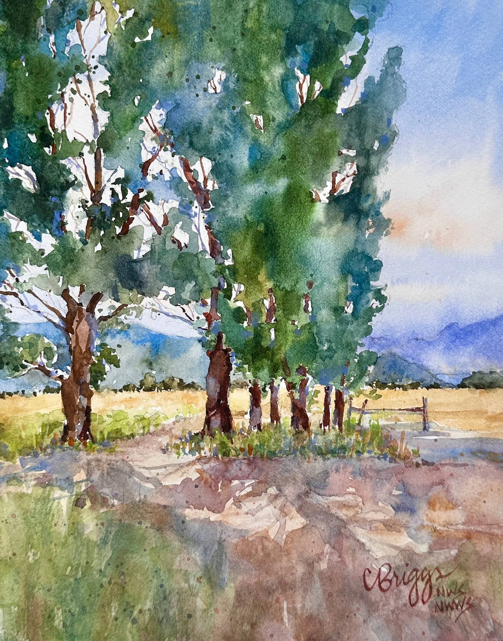 Jackson Light Wyoming 10 x 8 Watercolor 900 with Mat copy North America Cindy Briggs Art Watercolor Painting