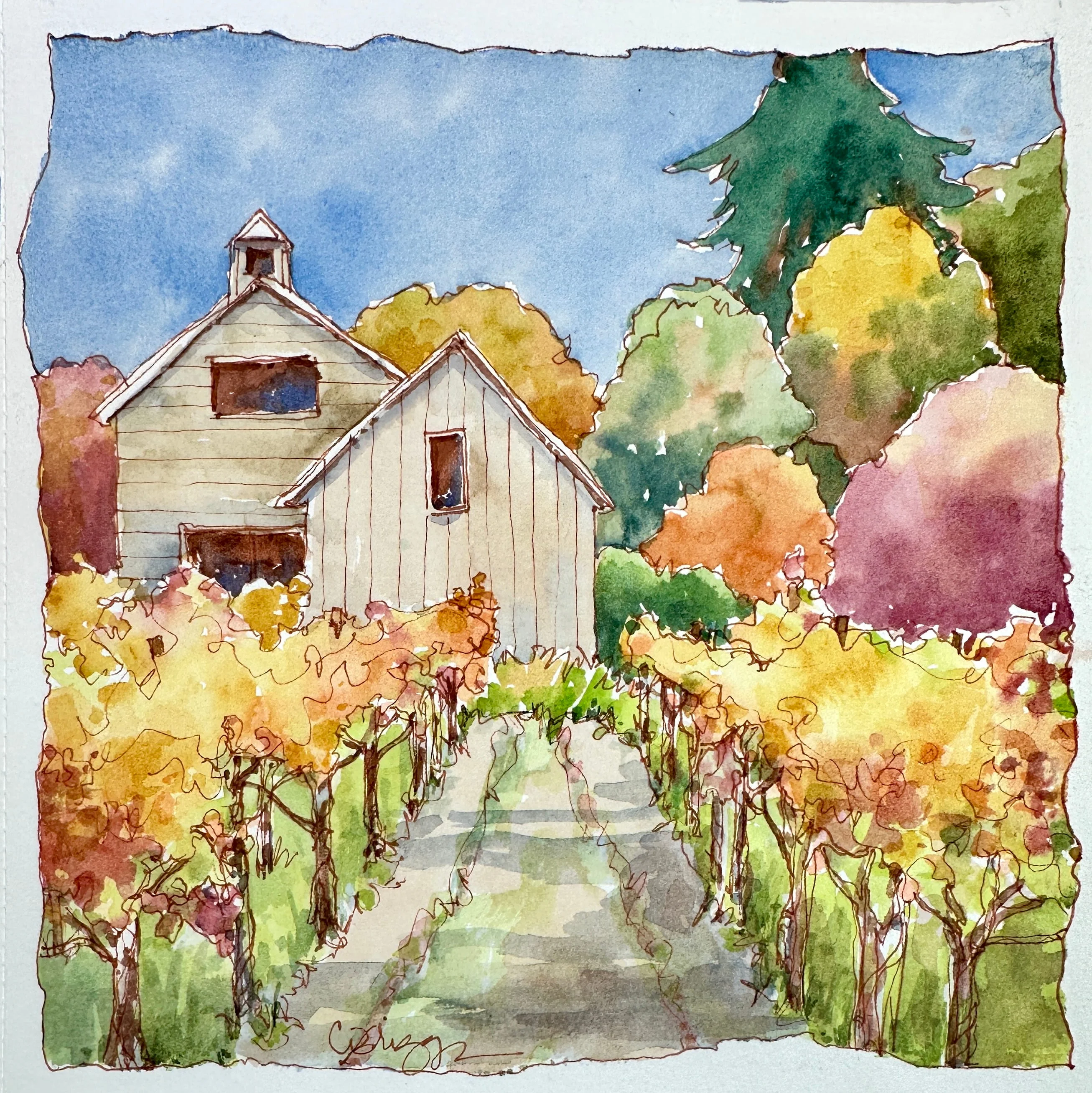 Napa Valley Vineyard Quick Sketch 8 x 8 400 Quick Sketch Cindy Briggs Art Watercolor Painting