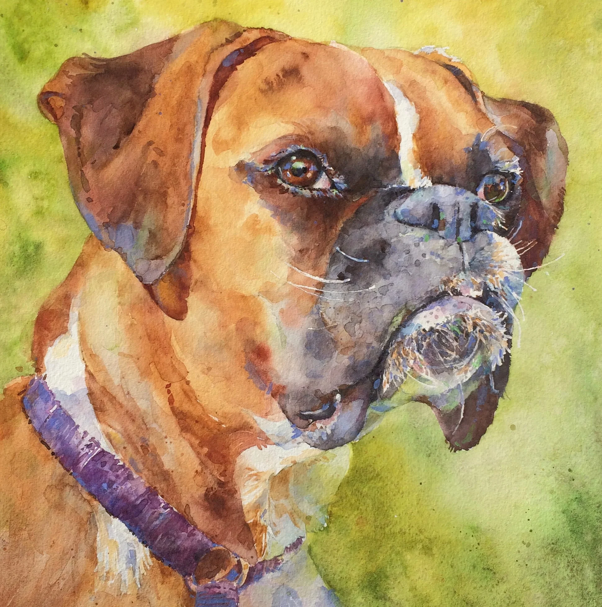 Pet Portrait Commission Watercolor 8 x 8 700 Animals Cindy Briggs Art Watercolor Painting