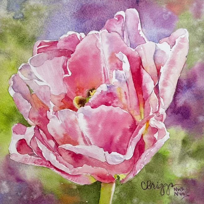 Spring Tulip Watercolor 8 x 8 w Mat 550 copy Collections Cindy Briggs Art Watercolor Painting