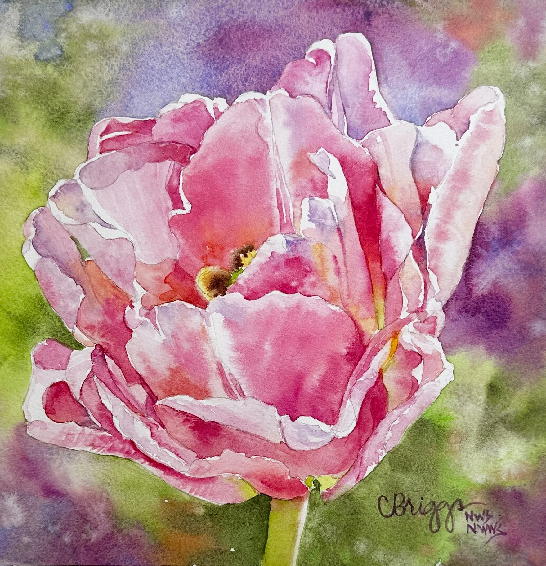 Spring Tulip Watercolor 8 x 8 w Mat 550 copy Florals Cindy Briggs Art Watercolor Painting