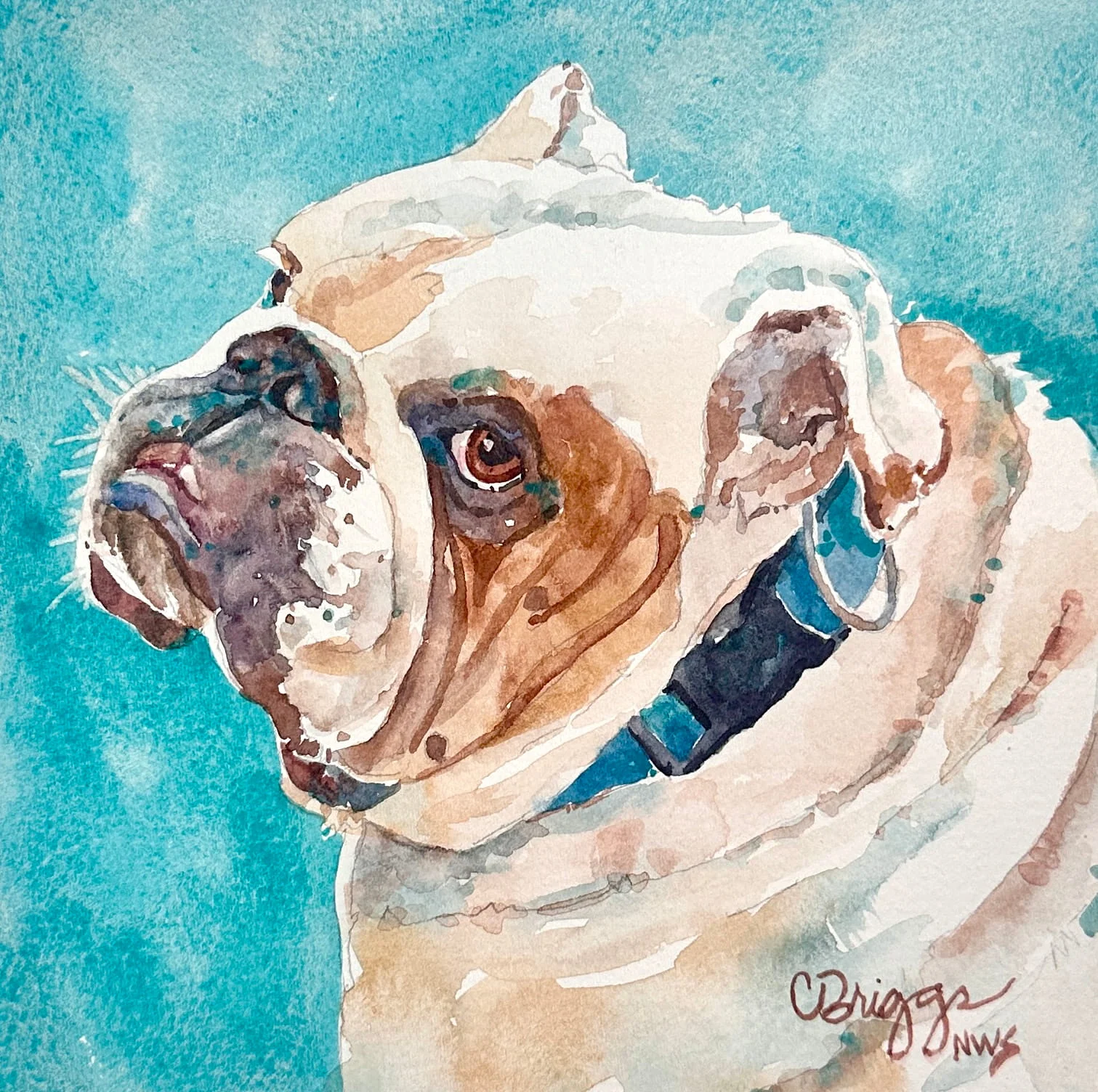 Winston in Provence 8 x 8 550 w Mat Watercolor Animals Cindy Briggs Art Watercolor Painting