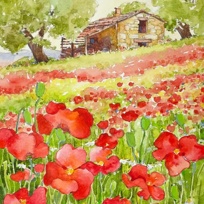 3 Cindy Briggs Poppies in Provence WC 12 x 9 Cindy Briggs Poppies in Provence WC Cindy Briggs Art Watercolor Painting
