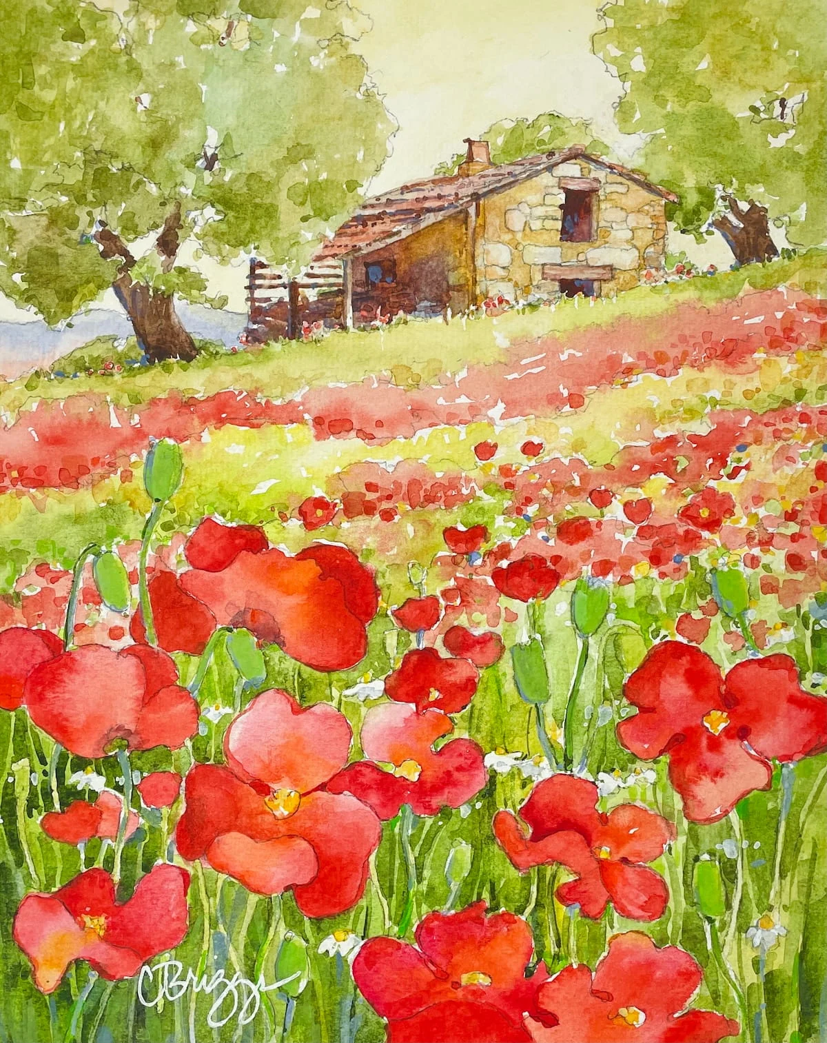 3 Cindy Briggs Poppies in Provence WC 12 x 9 International Cindy Briggs Art Watercolor Painting